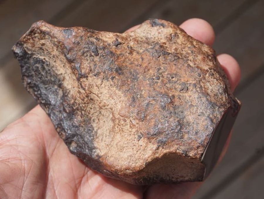 NWA 4701 Iron Meteorite