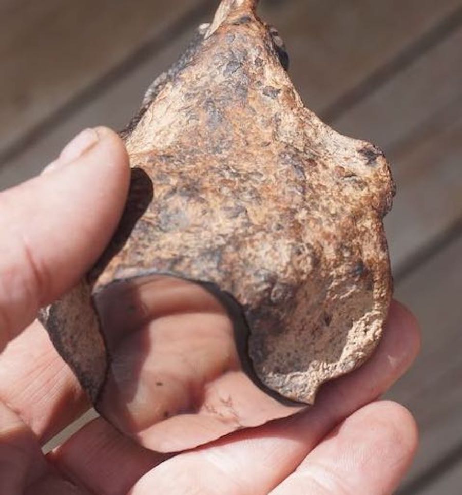 NWA 4701 Iron Meteorite