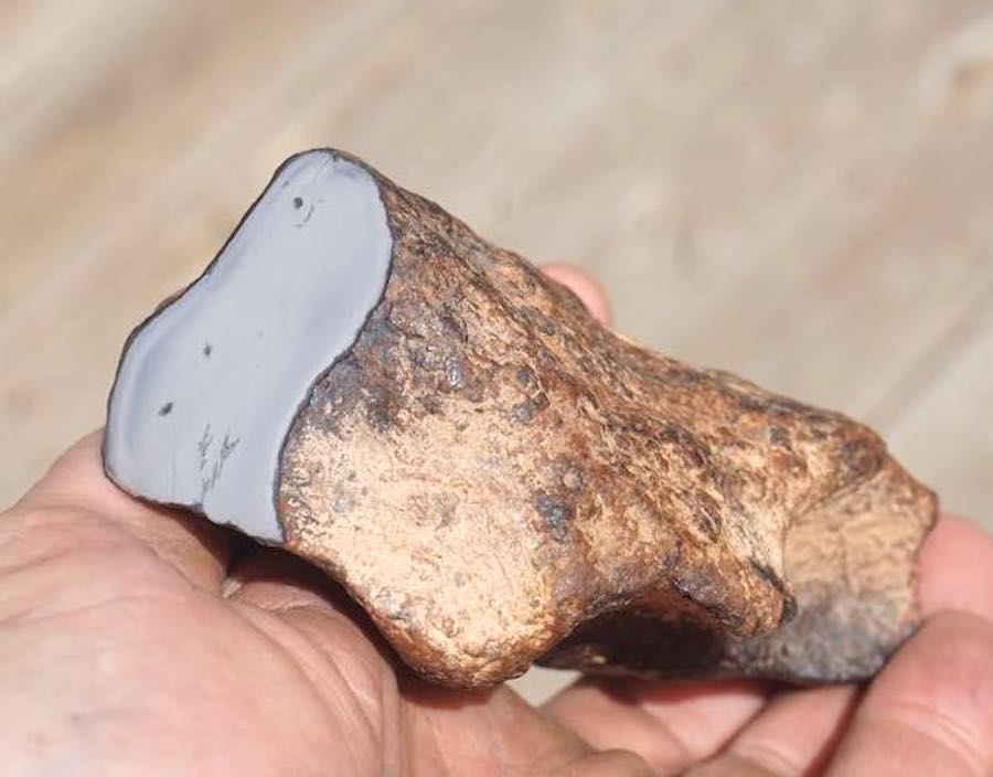 NWA 4701 Iron Meteorite