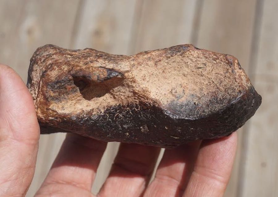 NWA 4701 Iron Meteorite