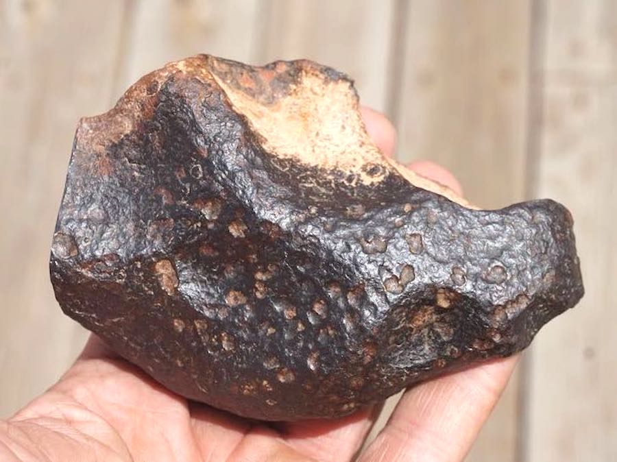 NWA 4701 Iron Meteorite