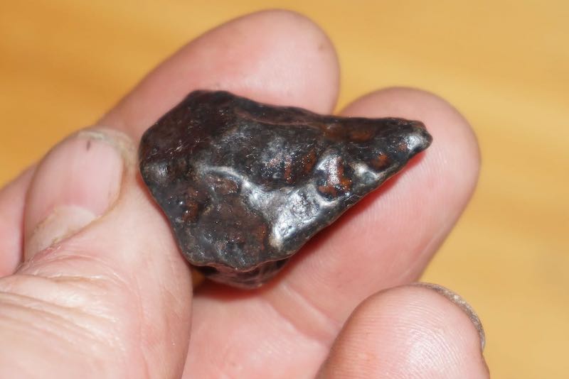 Agoudal Meteorite