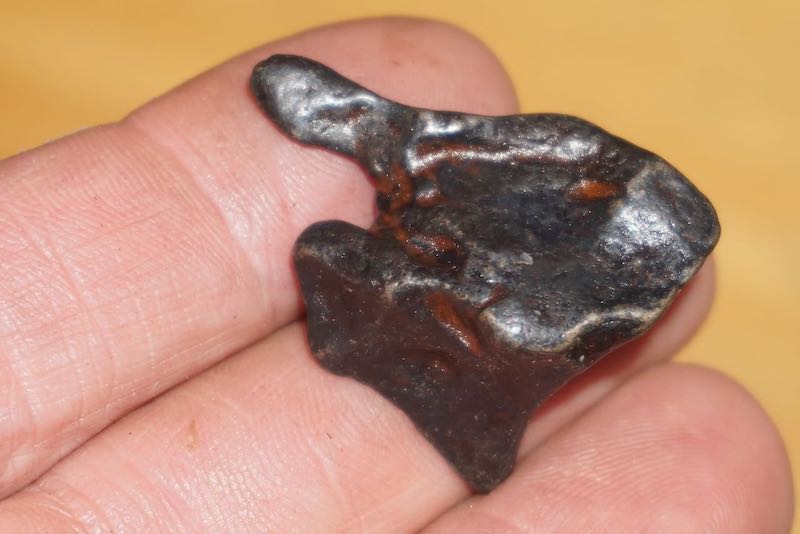 Agoudal Meteorite